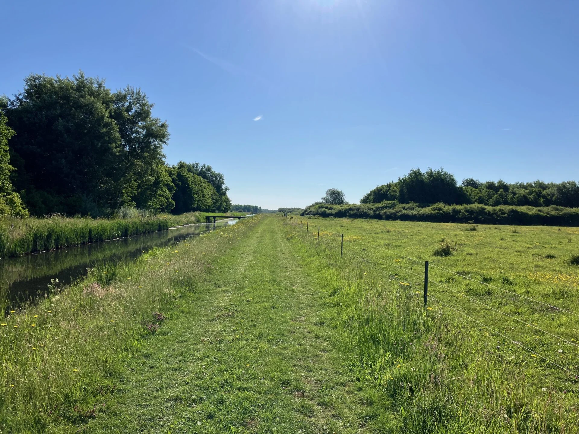 Groen wandelpad langs een smalle watergang door open weilanden en bomen, met een helderblauwe lucht en zonlicht boven een rustig Nederlands polderlandschap.