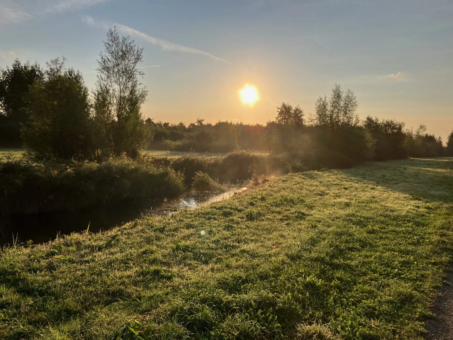 Zonsopkomst boven een rustig natuurgebied met een smalle beek, dauwnat gras en struiken langs de oever, in warm ochtendlicht met lichte nevel boven het water.