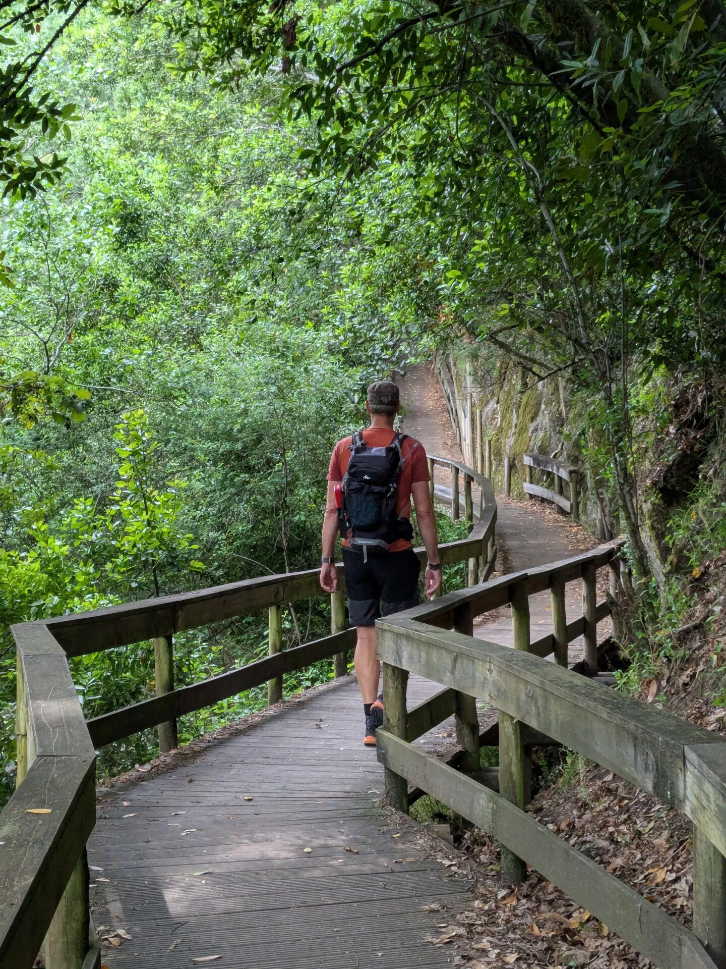 Man met rugzak loopt over een houten wandelpad door een dicht, groen bos, met een slingerend pad en bomen die een natuurlijke tunnel vormen.
