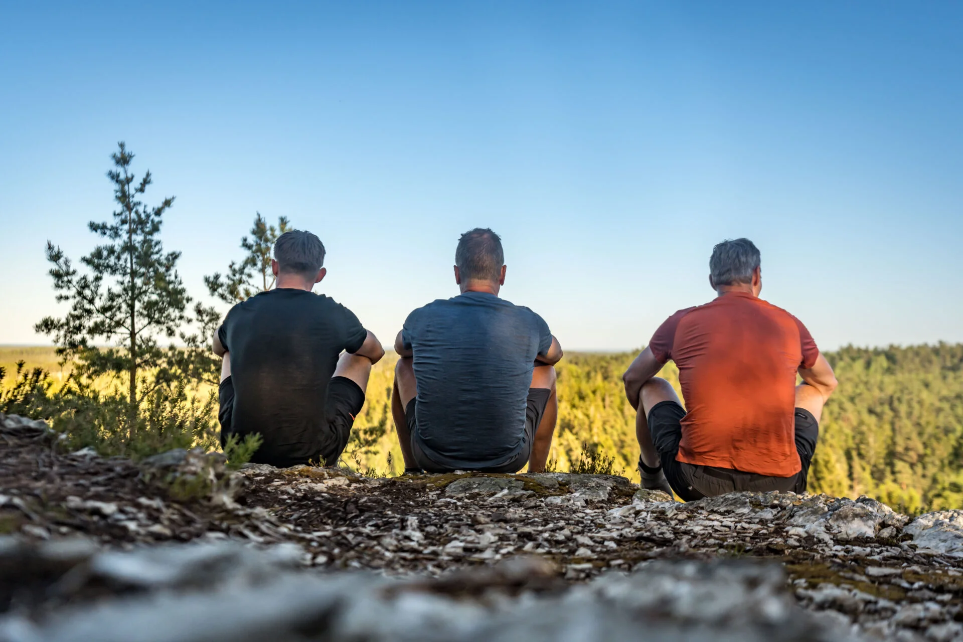 Drie mannen zitten op een rotsrand met hun rug naar de camera en kijken uit over een uitgestrekt boslandschap onder een heldere blauwe lucht.