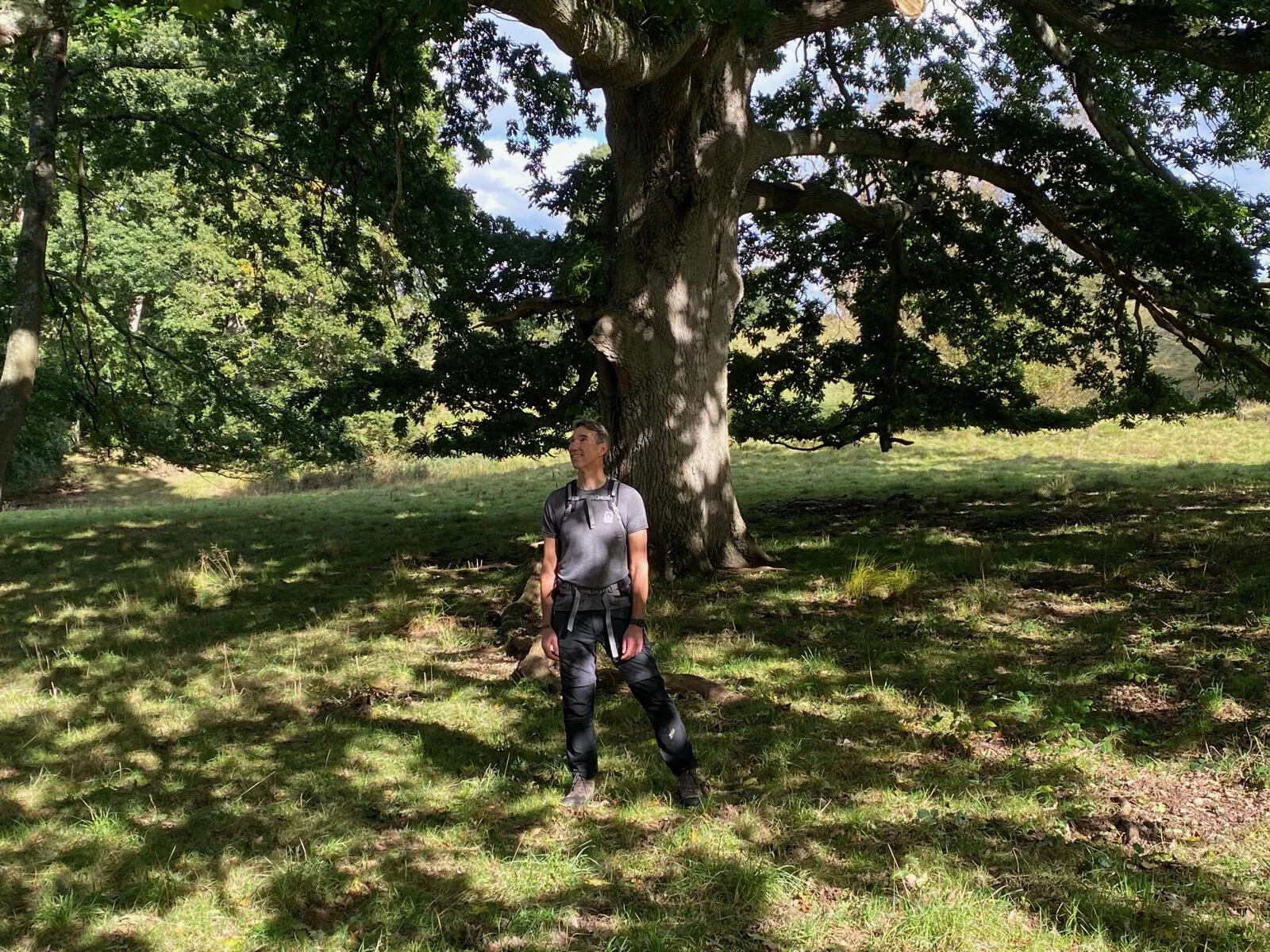 Jongeman staat in een open bosweide onder een grote, oude eik, met zonlicht dat door de bladeren valt en een rustige, natuurlijke omgeving.
